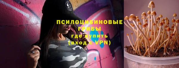 ПСИЛОЦИБИНОВЫЕ ГРИБЫ Арсеньев