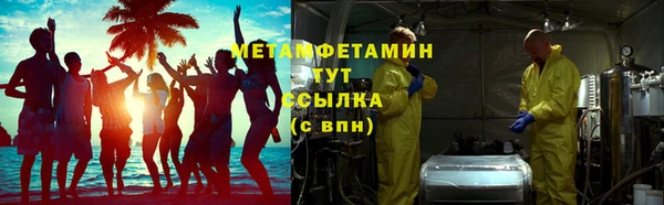 ПСИЛОЦИБИНОВЫЕ ГРИБЫ Арсеньев