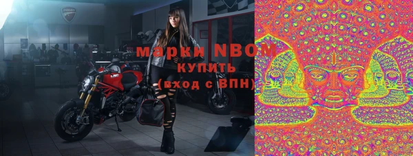 ПСИЛОЦИБИНОВЫЕ ГРИБЫ Арсеньев