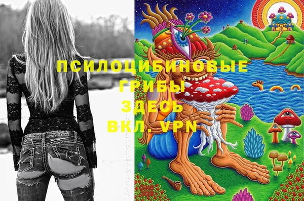 ПСИЛОЦИБИНОВЫЕ ГРИБЫ Арсеньев