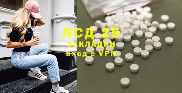 ПСИЛОЦИБИНОВЫЕ ГРИБЫ Арсеньев