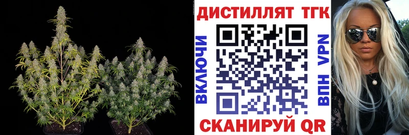 ТГК Wax  Харовск 