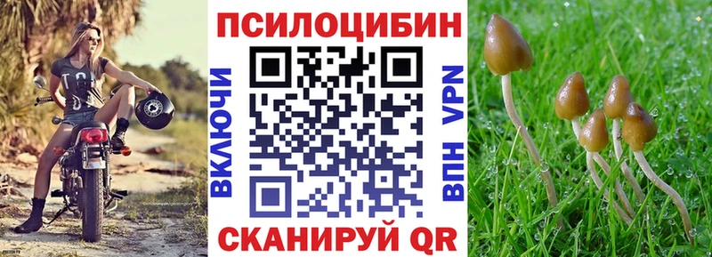 купить   omg ССЫЛКА  Псилоцибиновые грибы GOLDEN TEACHER  Харовск 